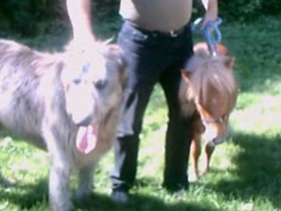ROCKY ET JACKPOT