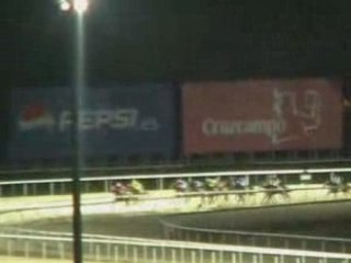 2008 (353) Premio Eurostars (H) (MADRUGAR)