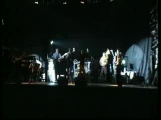 no smoking orchestra - Pitbull Terrier