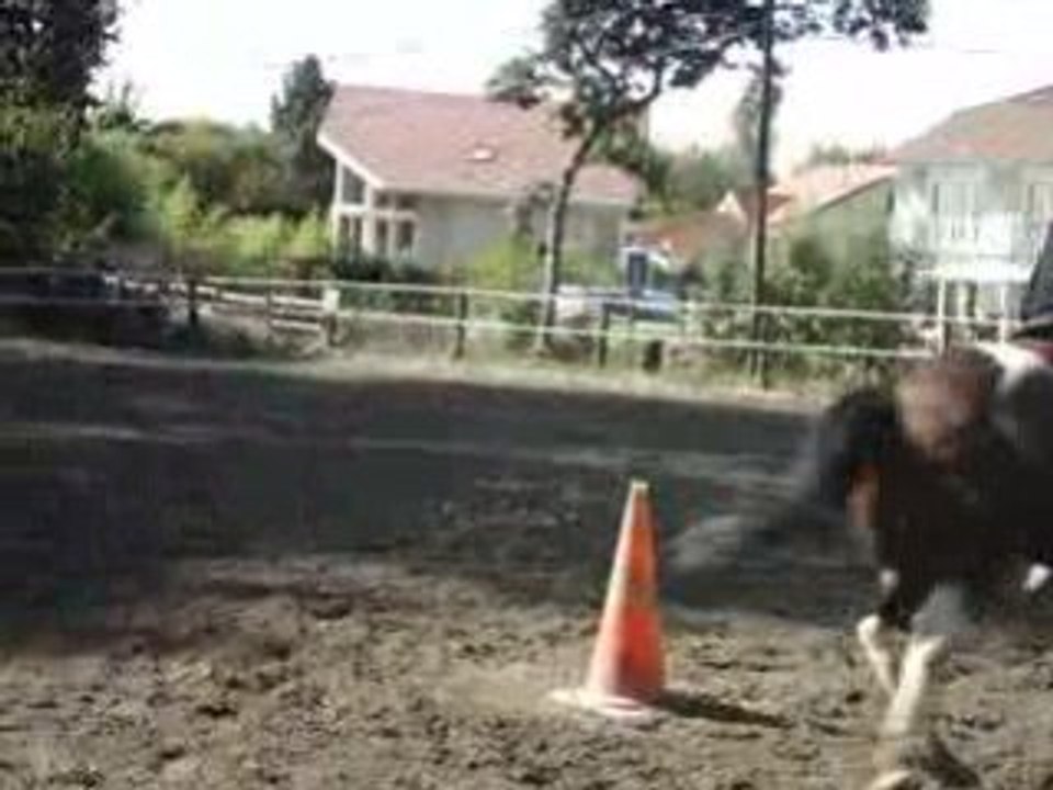 MOV08631