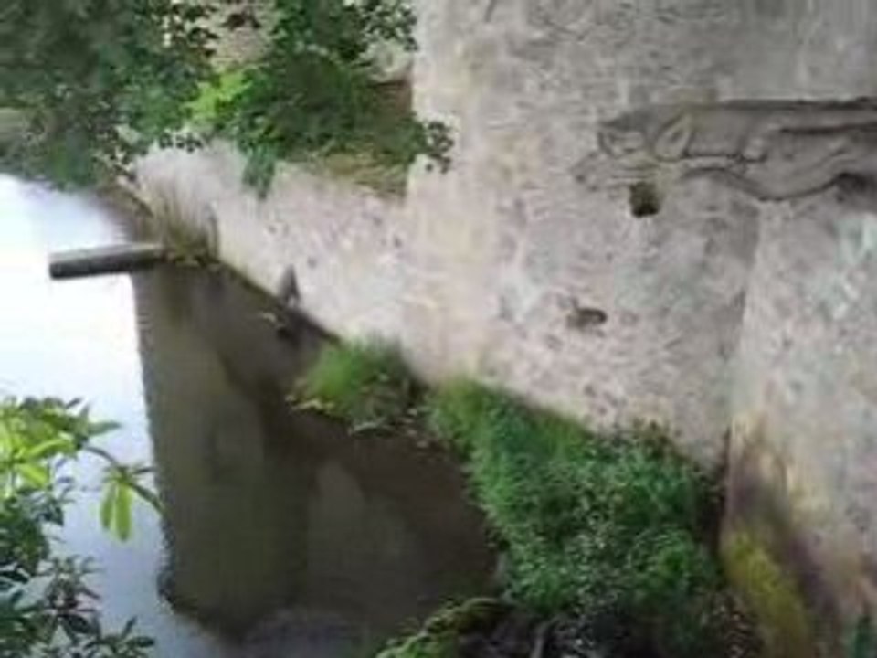 CHÂTEAU DE NIEUL_4833