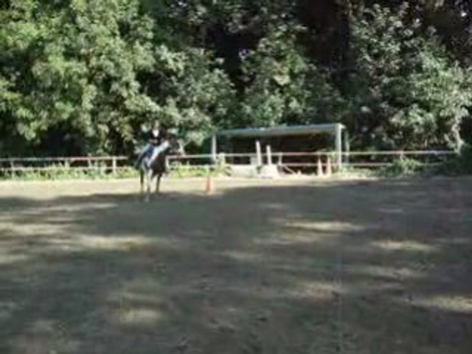MOV08633