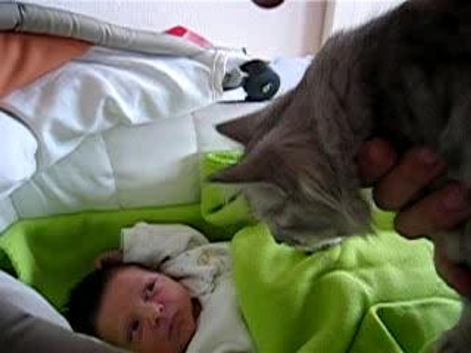Ulysse et Alya