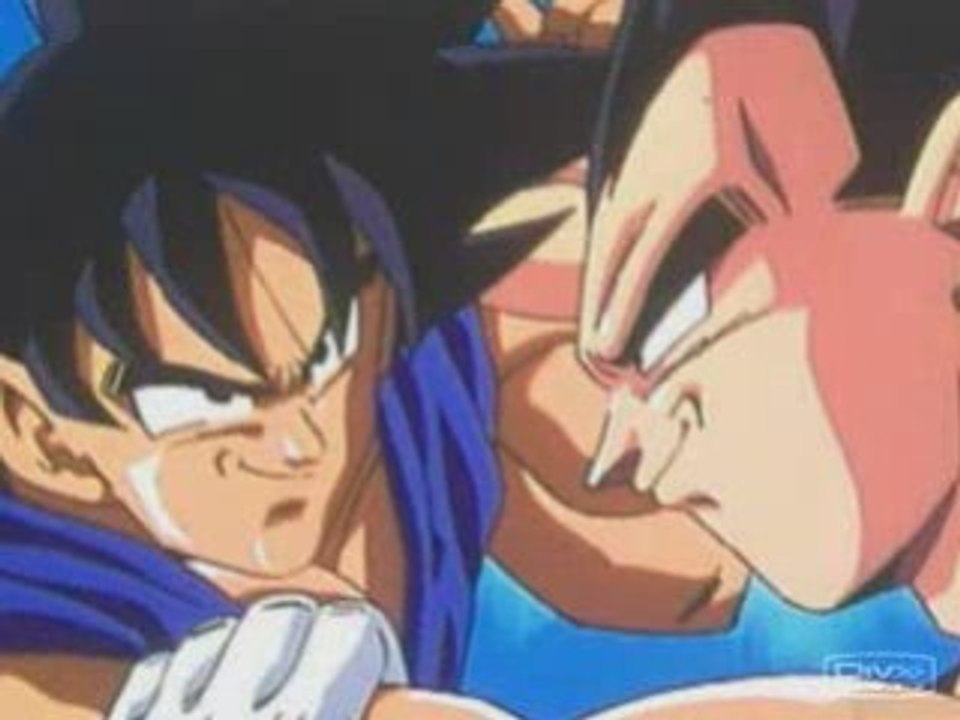 Dragon ball z