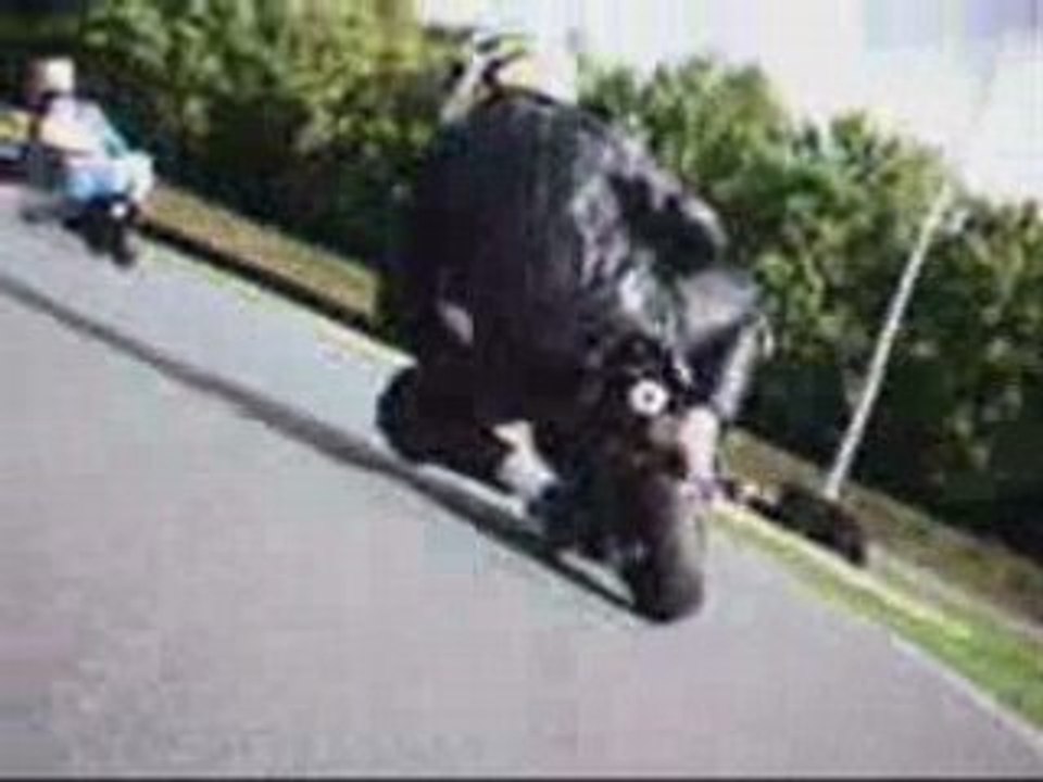 Asla 12 septembre 2008