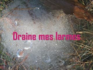 Automne des rêves en haïku