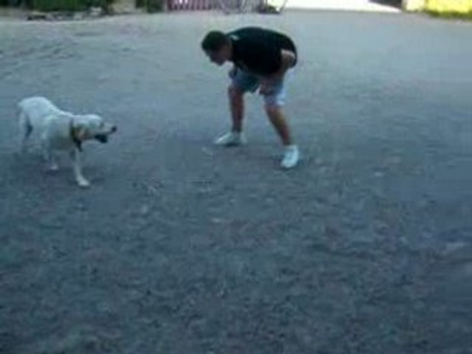épisode 6 - Catch Attaque
