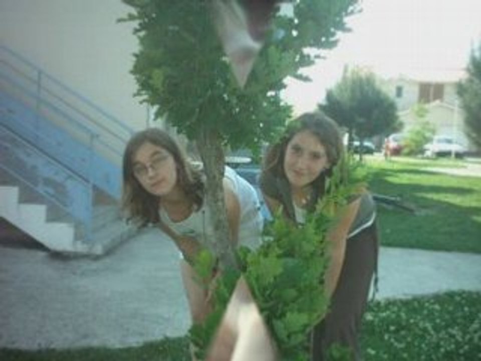 Vacs nono shasha and me.bis