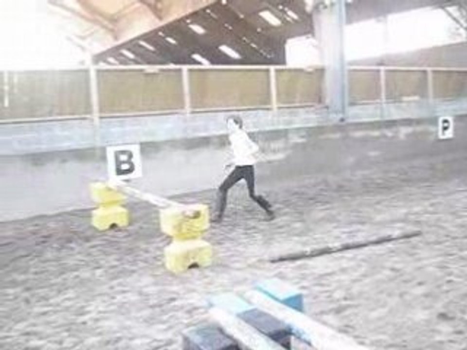 Moi qui saute encore un obstacle. :D