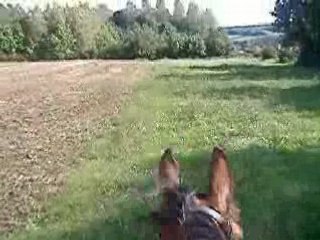 Balade avec le loulou