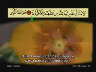 Ahmed El-Acemi - Haşr Süresi