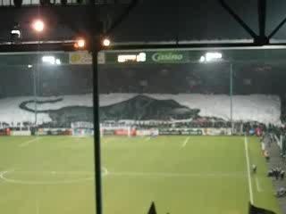 Tifo panthère (ASSE- Lyon 2005-06)