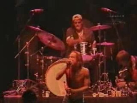 Iggy & the stooges 1970 live in detroit concert