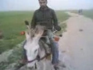 Pauvre bête 😢 - thumbnail