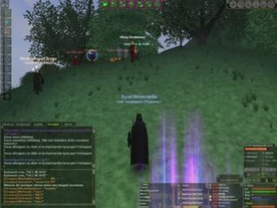 [DAoC] Groupe Mages Hib vs 2 FG War Legend [SI] Hib / Broc