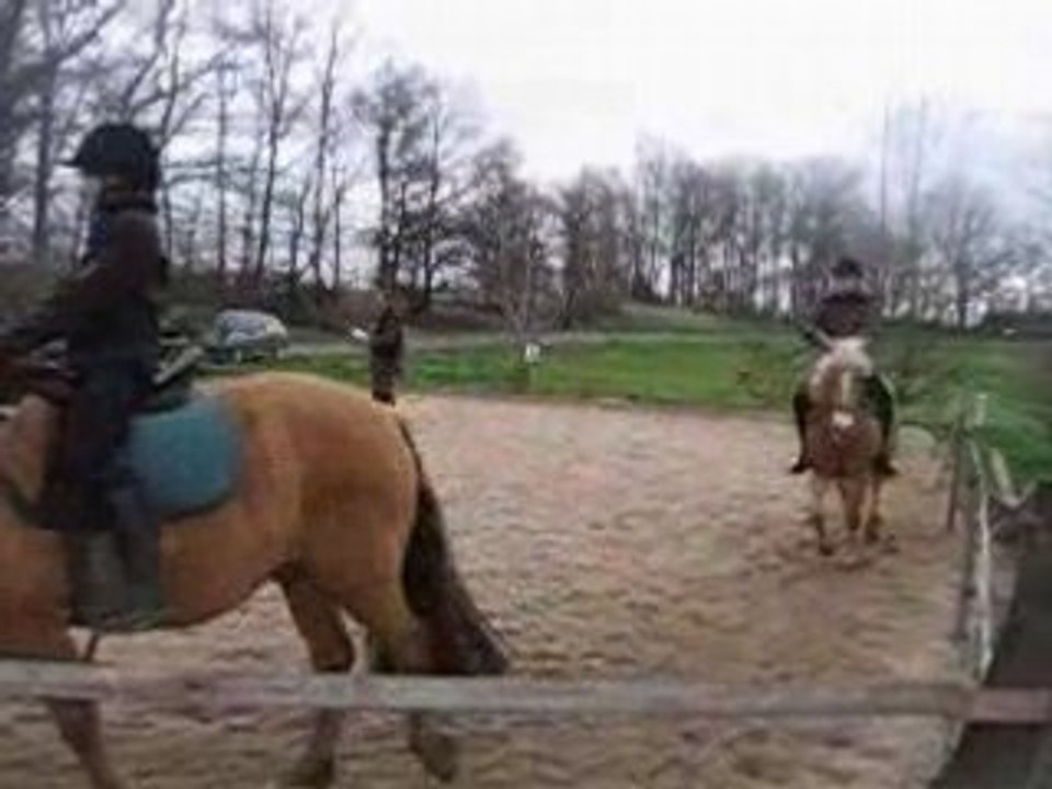 Pleiade cheval