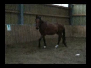 QUIDAM - petit manège 2