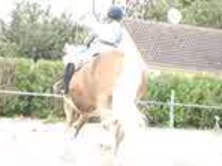 cours obstacle ligne+oxer