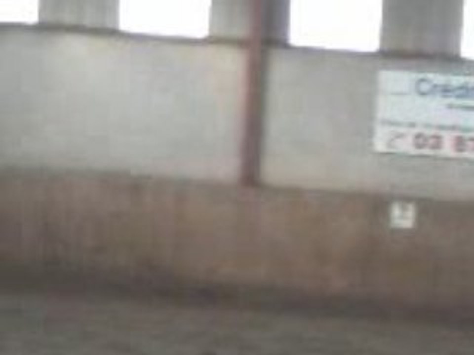 PETITS SAUTS AVEC FICELLE.