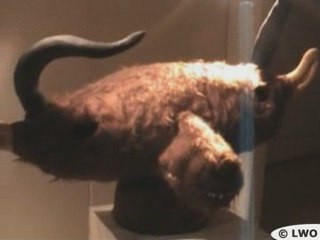 La Corrida (Graff Video by LWO 2007)