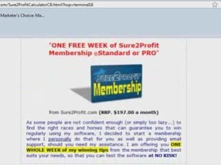 Horse Race Betting System