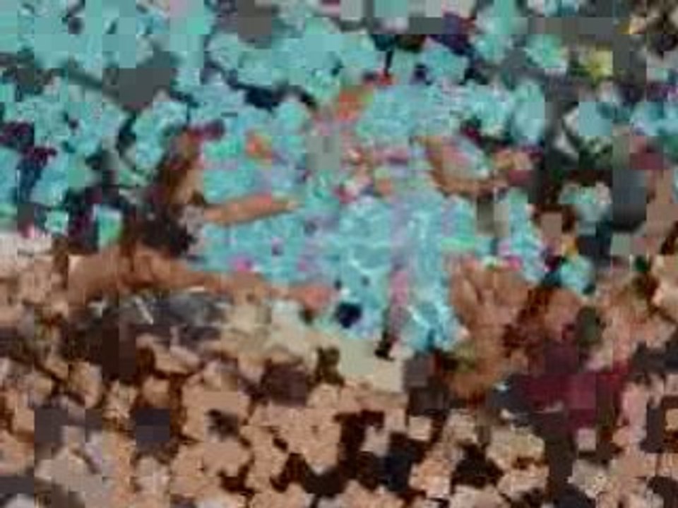 Aniversaire lélé 22 ans