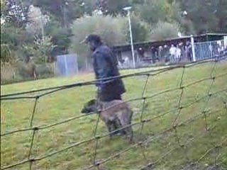 Budy de la vallée du grand loup