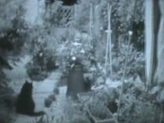 Jardin de Scott -  the cinema of small gestures