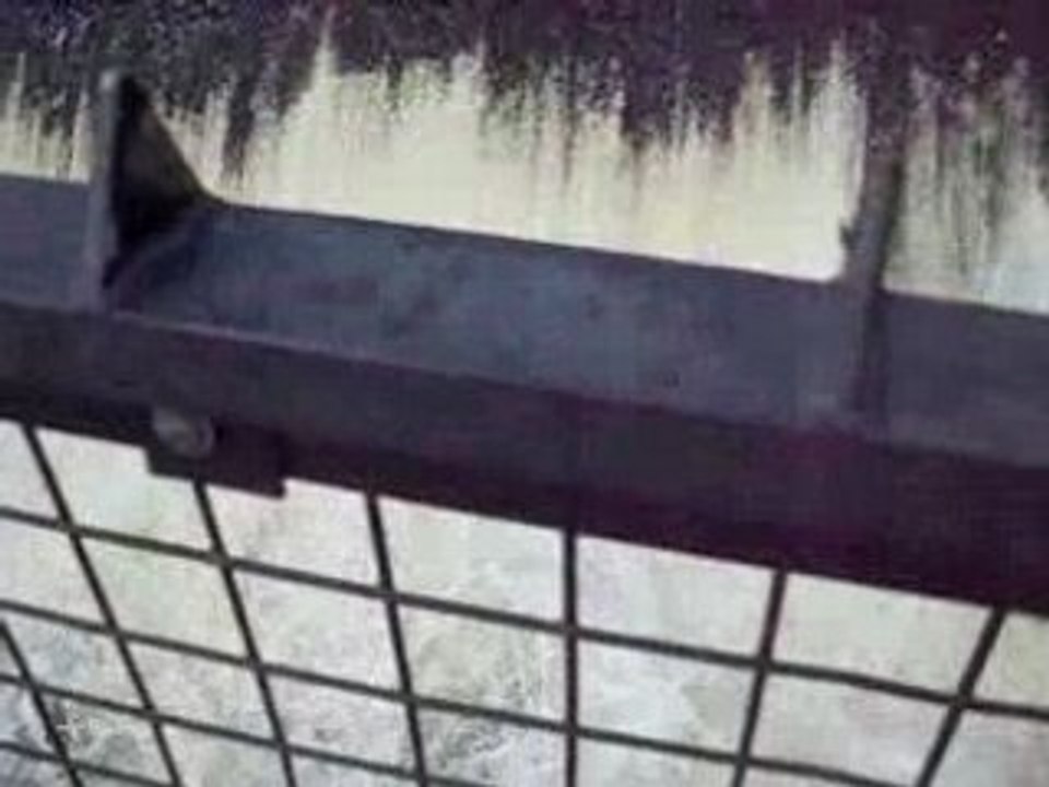 Chutes de Montmorency