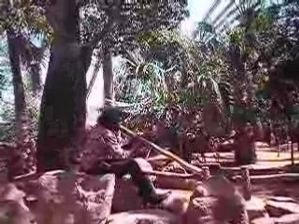 Un joueur de didgeridoo