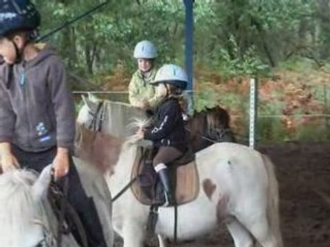 Poney club 1ère leçon