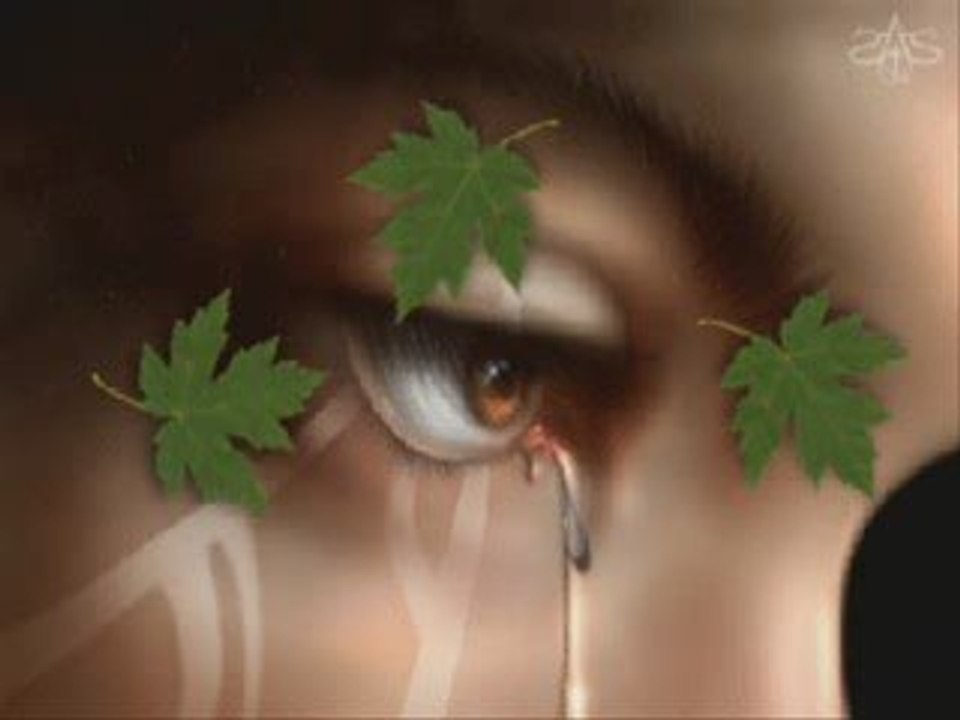 cheb Hasni     kount haazha ana  ktar menn omri