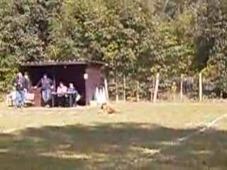 Budy de la vallée du grand loup