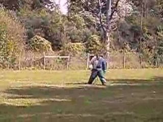 Budy de la vallée du grand loup