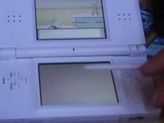 Pokemon platine combat