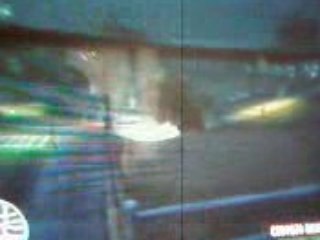 Gta IV sentinel dans l'arbre