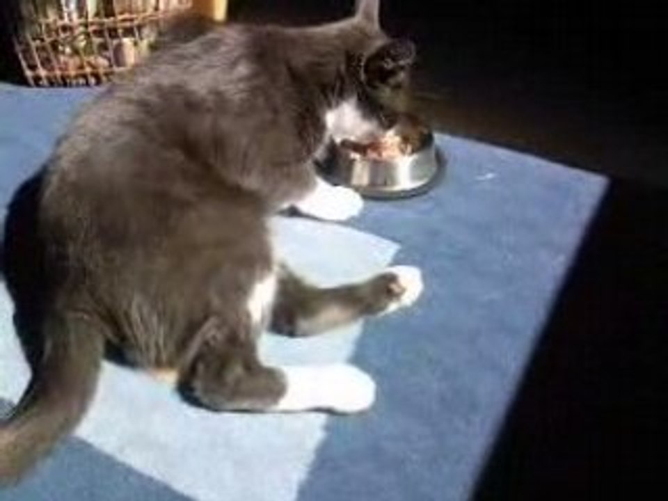 Soleil,farniente, plaisir