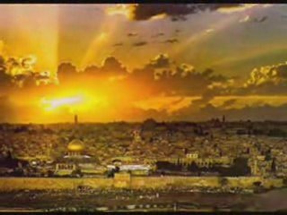أنا زهر الشوك ..انا الورد