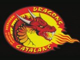 Dragons catalans à l'entrainement