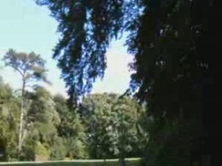 Immobilier du Parc des Marais