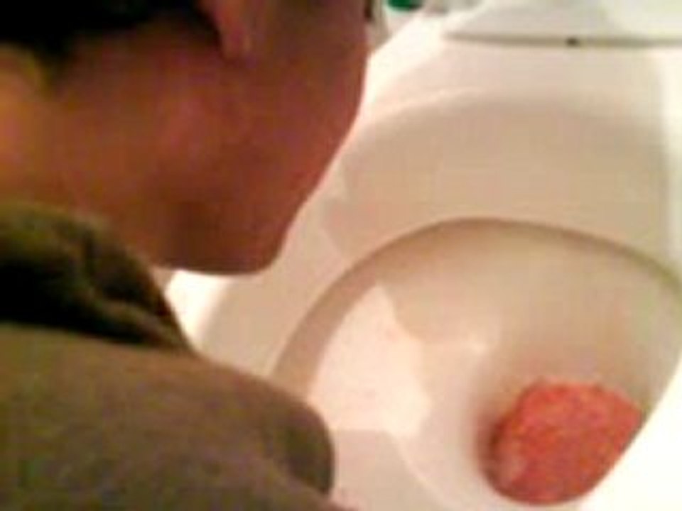 Maxime et la Chartreuse