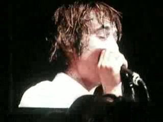 Babyshambles Fete de l'humanité 13 Sept. 2008