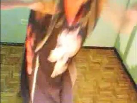 Crip Walk - C Walk - Hip-hop 3