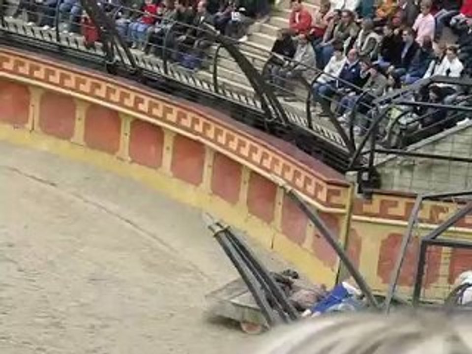 Les Epesses : Puy du Fou