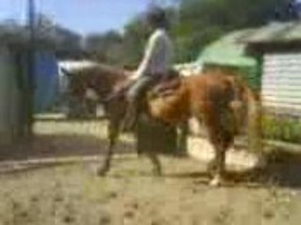 MOV00892
