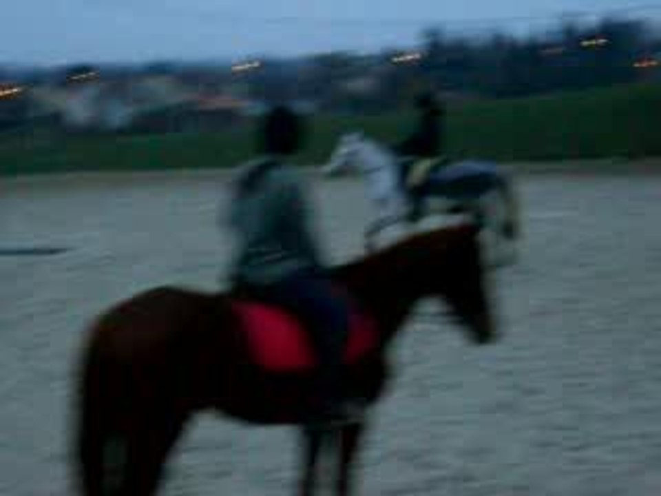 CIMG0954