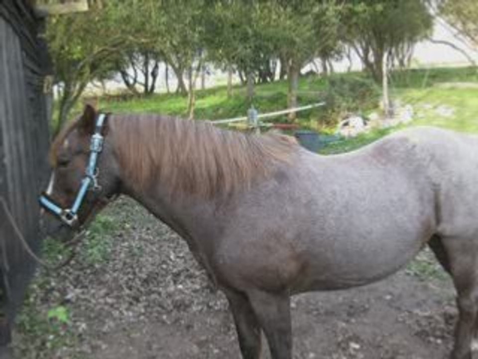 Mon TiTi