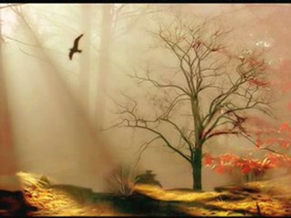 Jordi Savall - Lamento Della Ninfa - Video