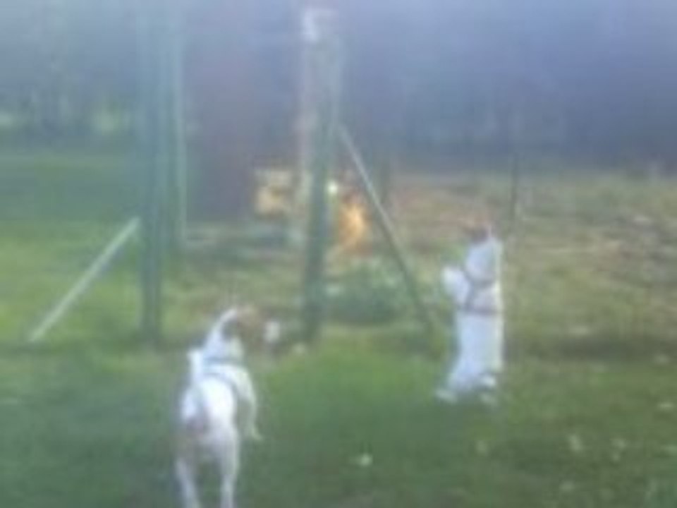 Louna chasse 2