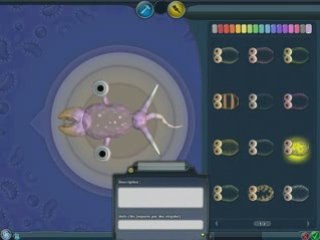 Spore  frapsoluce  ( cellule partie 1 )